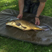 Revolve Folding Flat Mat