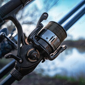 Radius Freespool - 5500