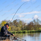 Dura Carp Feeder 9 ft. 2.75 mtr