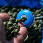 Marine Green Feed Pellets 6mm