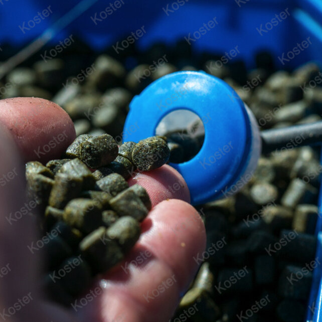 Marine Green Feed Pellets 6mm