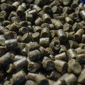 Marine Green Feed Pellets 6mm