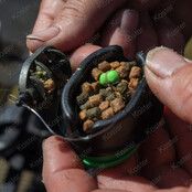 Marine Green Stiki Method Pellets 2mm Marine Green Stiki Method Pellets 2mm