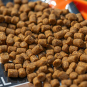 Salted Caramel Stiki Method Pellets 4mm