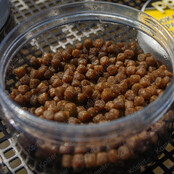 Hookable Expander Pellets - Salted Caramel 6mm Hookable Expander Pellets - Salted Caramel 6mm
