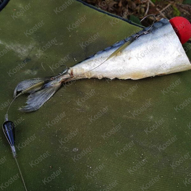 DD Series DeaDBait Pop Up Kit