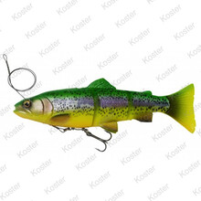 4D Line Thru Trout Slow Sinking - Fire Trout