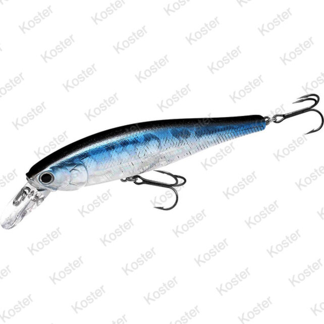 Pointer 100 Aurora Black Pointer 100 Aurora Black