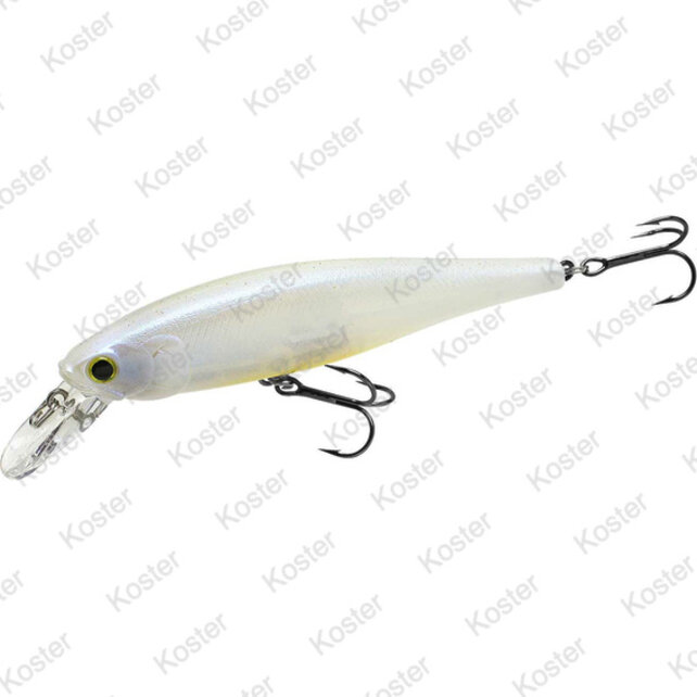 Pointer 100 French Pearl Ob Pointer 100 French Pearl Ob