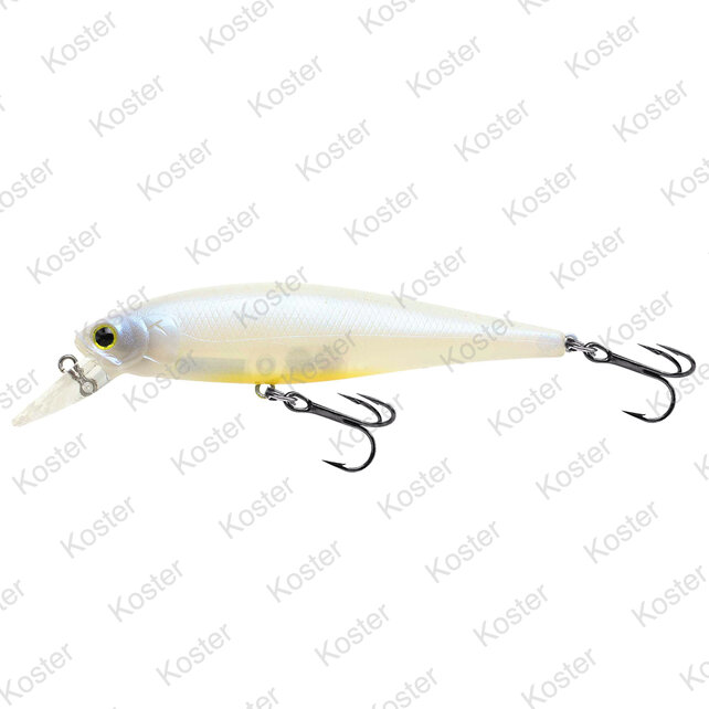 Pointer 100 French Pearl Ob Pointer 100 French Pearl Ob