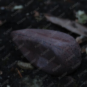 Distance big eye swivel Brown