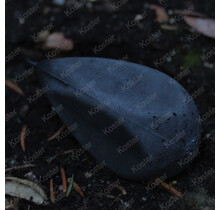 Distance big eye swivel Dark Grey