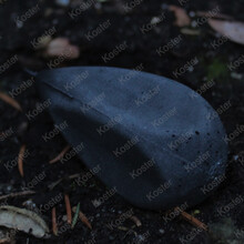 Distance big eye swivel Dark Grey