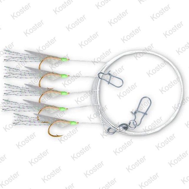 Holografix Rig - Transparant Holografix Rig - Transparant
