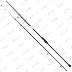 Salt XT Sea Spin 10ft 40-80 Gram
