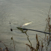 Limitless Power Handle - 4 Meter Tele