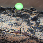 DT Heli-Chod Rubber & Beads Weed 3pcs