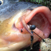 DT Shot-on the Hook Beads 15pcs