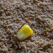 X2B Wide Gape Feeder Hooks - Barbed