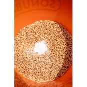 Maggot Glue Maggot Glue