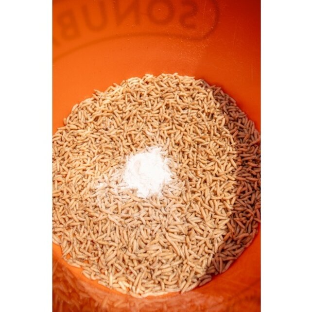 Maggot Glue Maggot Glue