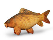 Carpy Plush Carp Carpy Plush Carp