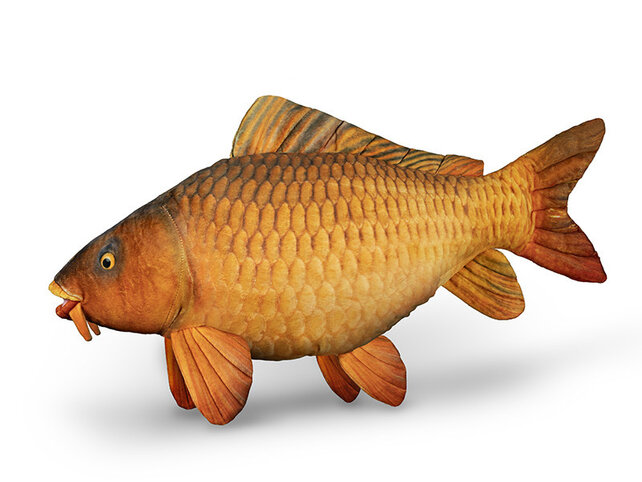 Carpy Plush Carp Carpy Plush Carp