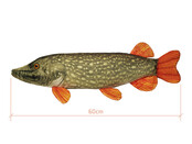 PIKY Plush Pike PIKY Plush Pike