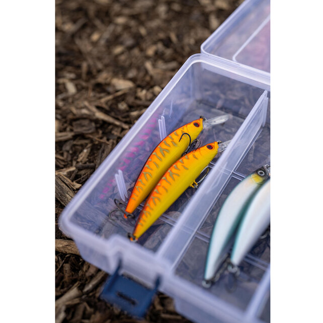 Trophy Double Decker Box