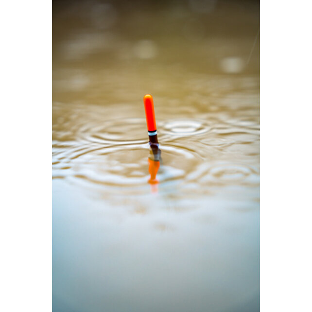 Classic Donaldson Float 1g