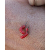 X2 Commercial F1  Barbless