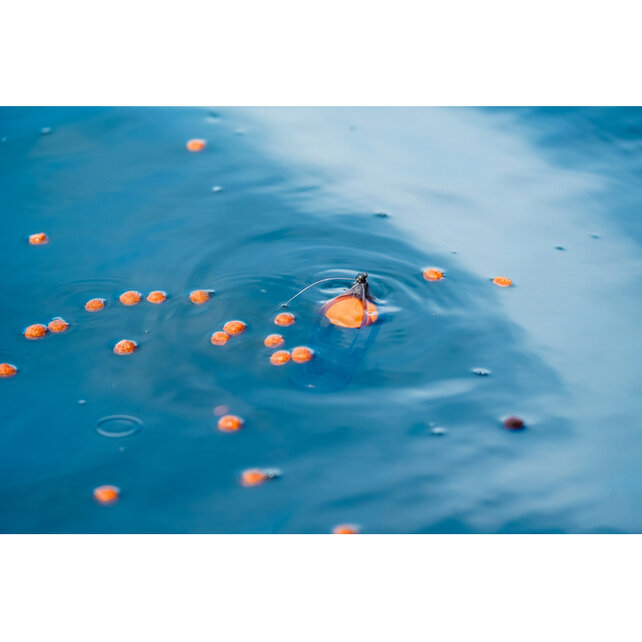 Surface Feeder Float