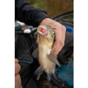 8mm Spike'um Wafter Krill & Squid