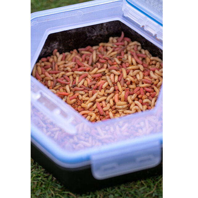 Secure-Lock Bait Box 1 - 1.5  Liter