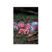 Fruity Icecream Popups 14mm.