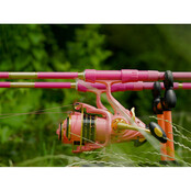 QUEEN Candy 3.00m 3.00lb 2dlg