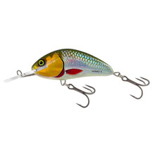 Rattlin' Hornet Floating Silver Halo  9cm