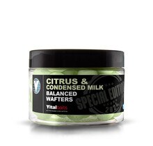 Citrus & Condensed Milk Wafters - 14mm