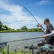 Ascension Feeder 3.8M