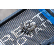 Carp Maggot Feeder M