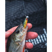 Mini Tiddler Mixed Colour Pack Loaded 4pcs NP WS EF LT