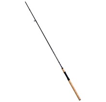 Master Spin 2.70 mtr. 10-35 gr.