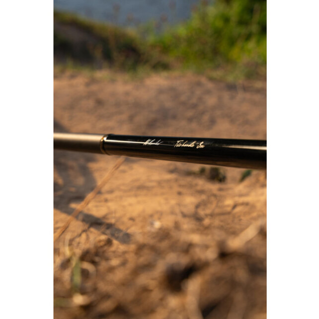 Allround Telescopic Handle 3M