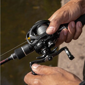 Demonic All Black 150 LWH