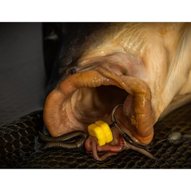 Double Corn Maggot Clip