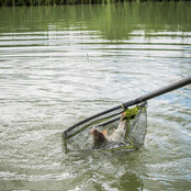 Snag Free Landingsnet 45x35