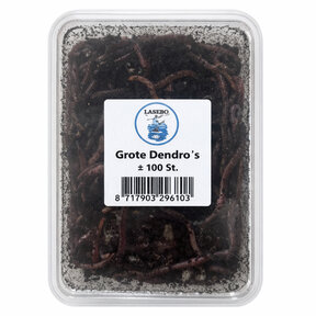 Super Dendro's Grote Bak +-100 stuks