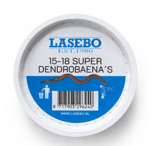 Super Dendro's Klein Bakje (+- 20 stuks)