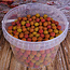 HK-Baits Baits Premium Boilies Voerboilie