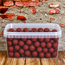 HK-Baits Premium Boilies Garlic Robinred 1000ml